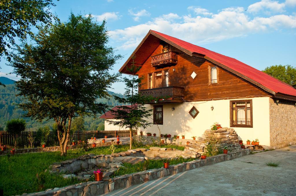 Casa Lidia Hotel Lepşa Buitenkant foto