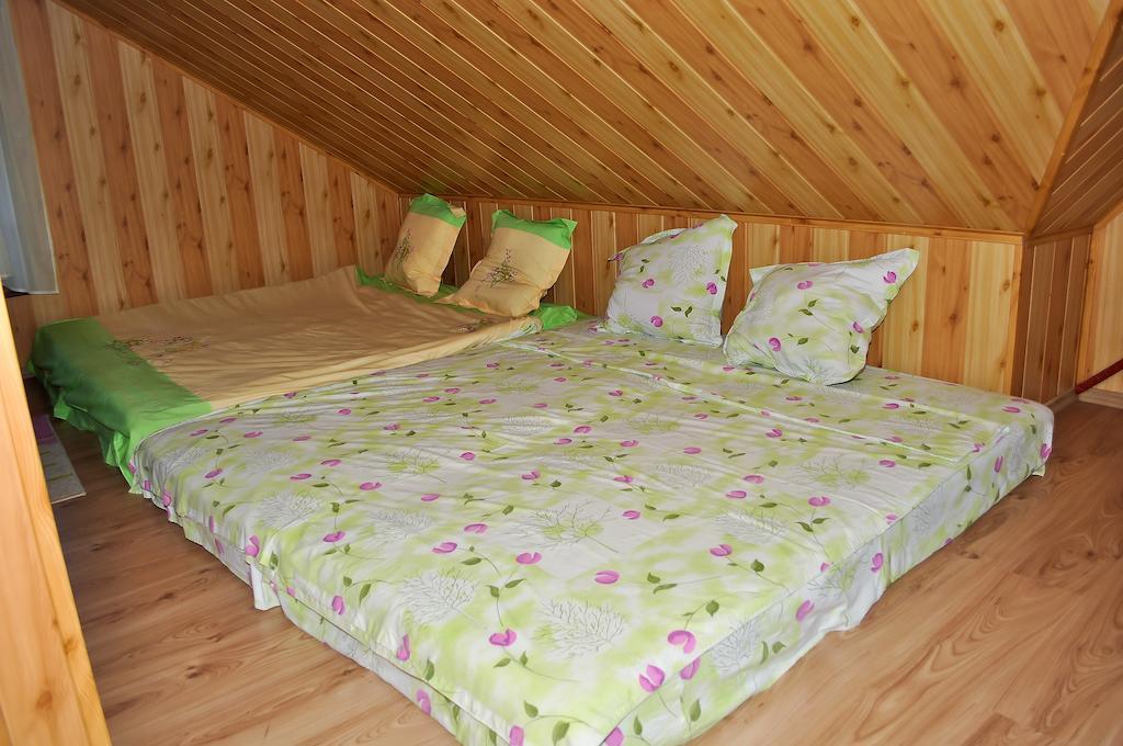 Casa Lidia Hotel Lepşa Kamer foto