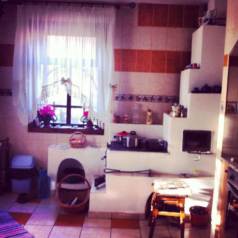 Casa Lidia Hotel Lepşa Buitenkant foto